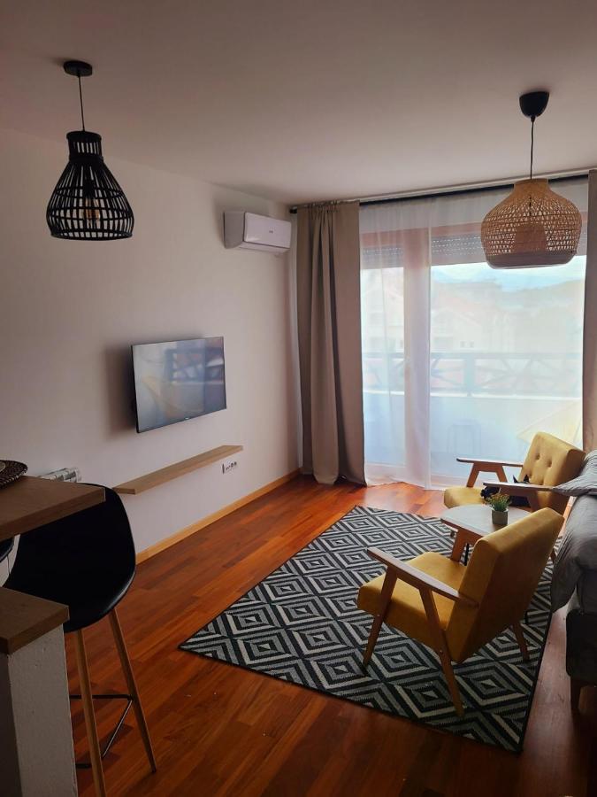 Ferienwohnung Stan Na Dan Krsmanovic Čačak Exterior foto